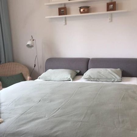 A Cosy Studio In The City Centre Bratislava Exteriör bild
