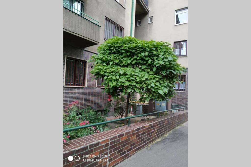 A Cosy Studio In The City Centre Bratislava Exteriör bild