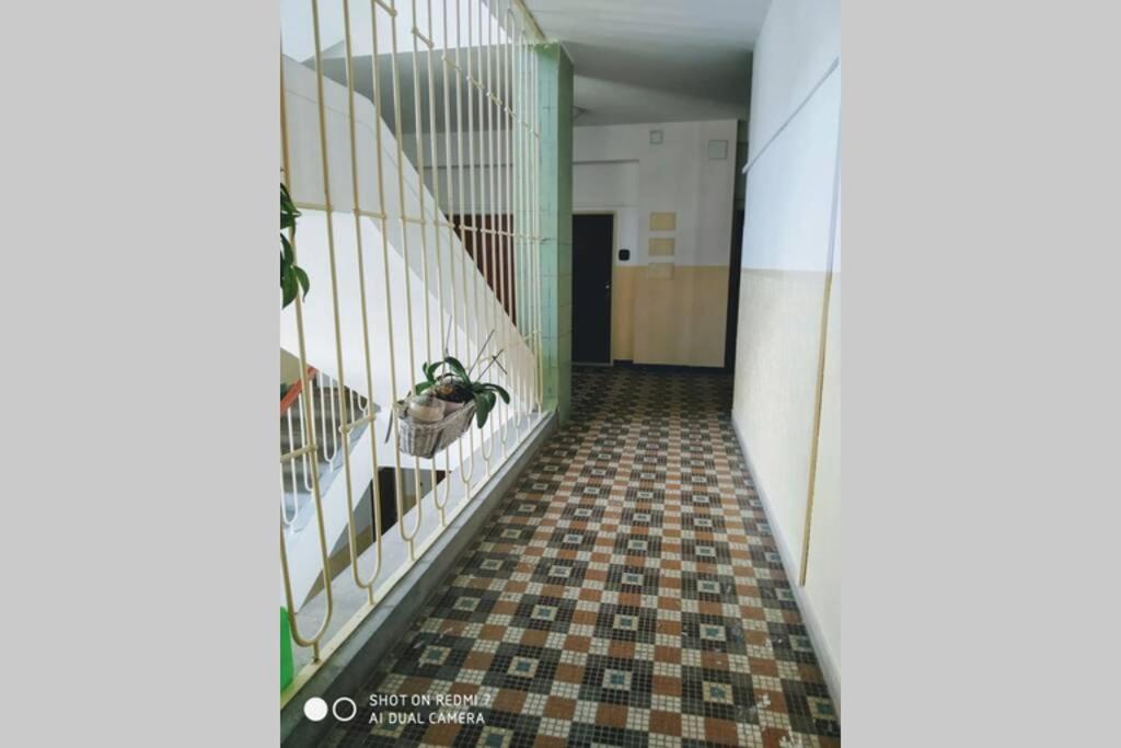 A Cosy Studio In The City Centre Bratislava Exteriör bild